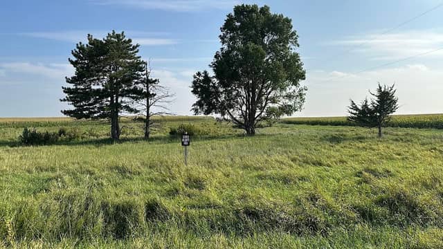 Center Wildlife Area - Image 1
