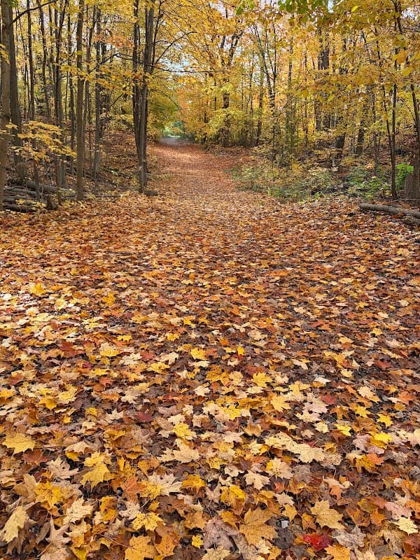 Wilkin's Walk - Image 1