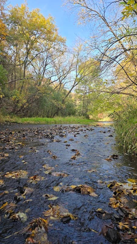 Central Park - Image 1