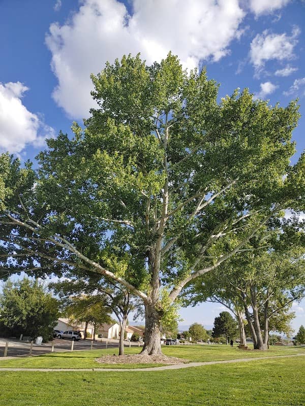 Western Winds Park - Image 1