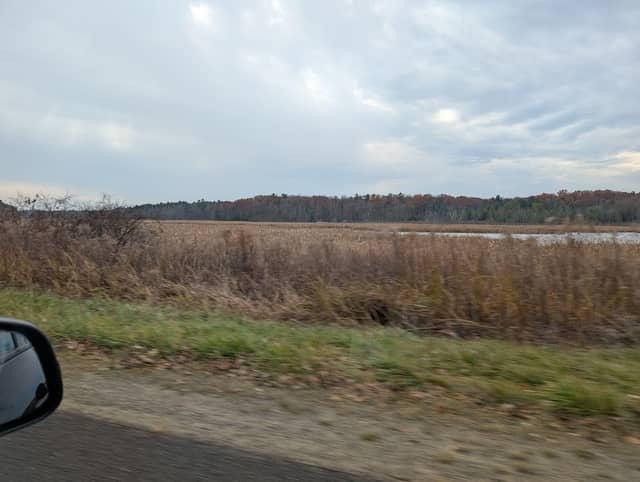 Pentwater River State Game Area - Image 1