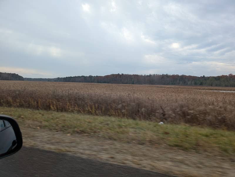 Pentwater River State Game Area - Image 2