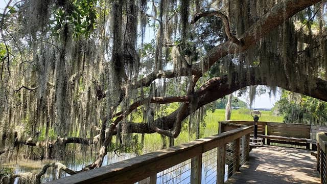 Coastal Discovery Museum - Image 2