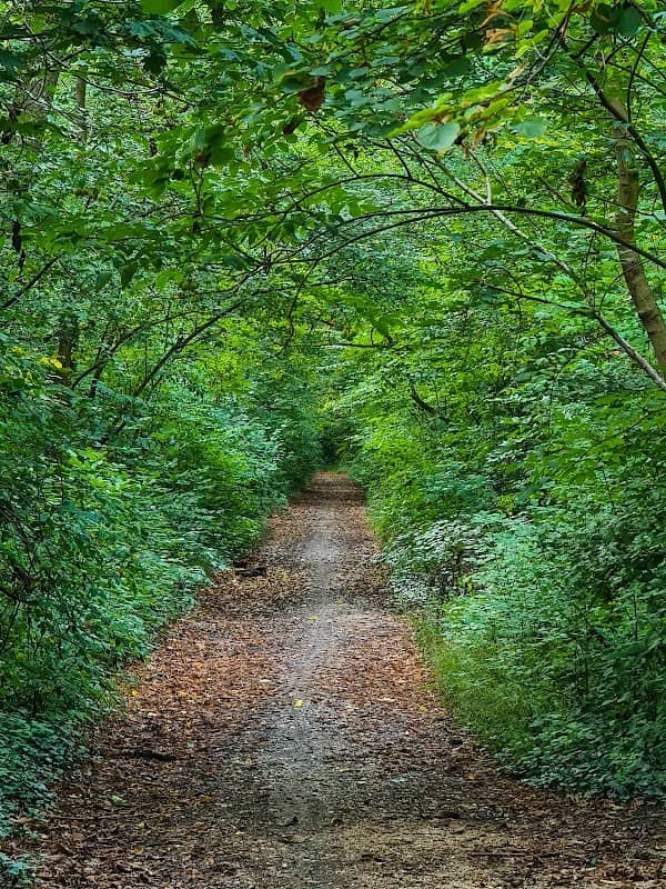 Jarovská bažantnica - Image 1