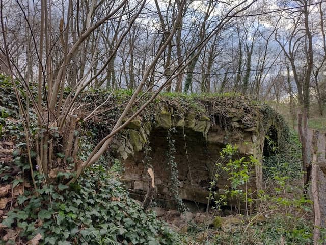 Jarovská bažantnica - Image 2