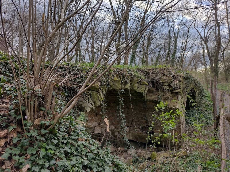 Jarovská bažantnica - Image 1