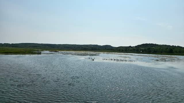 Betsie River State Game Area - Image 2