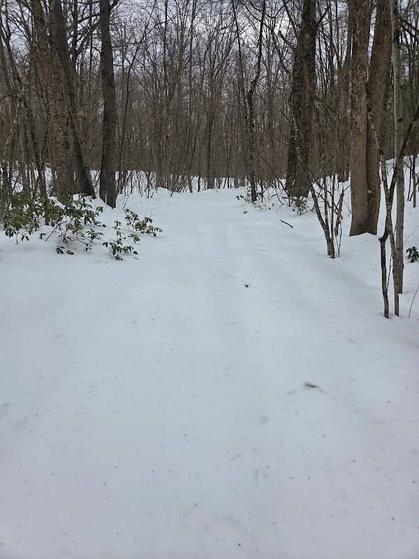 Montague Wildlife Management Area - Image 2