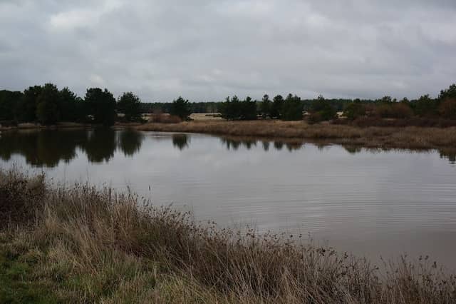 Ballarat Town Common - Image 1