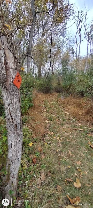 South Branch Reservation - Image 2