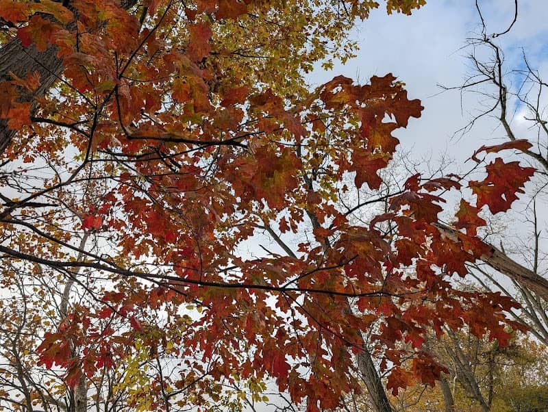Towpath - Image 1