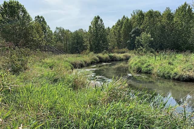 Beaver Creek Wetlands Reserve - Image 2