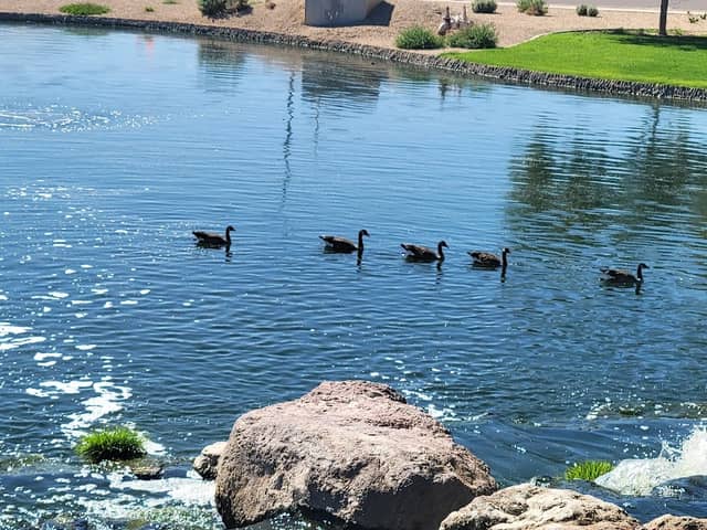 Rio Paseo Park - Image 3
