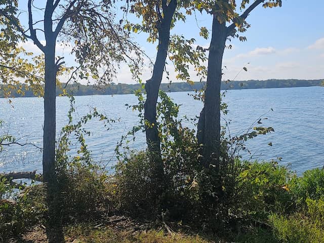 Arm Point Park - Image 1