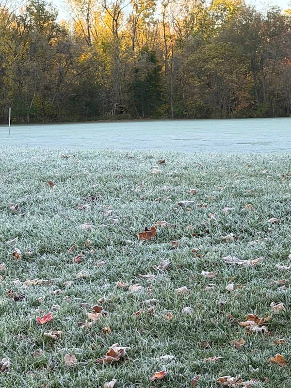 Kibbe Park - Image 1
