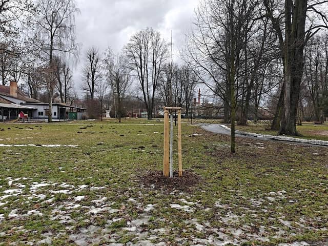 Městský park - Image 1
