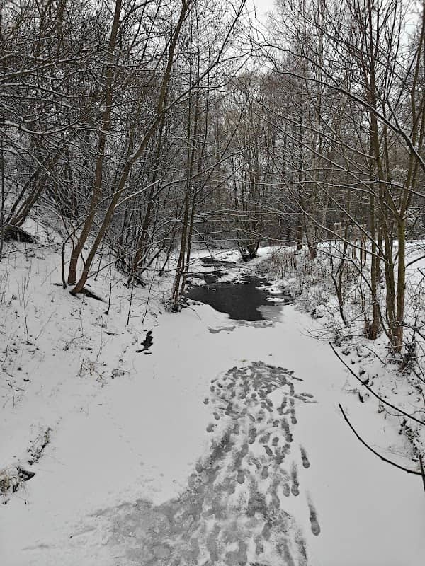 Městský park - Image 2