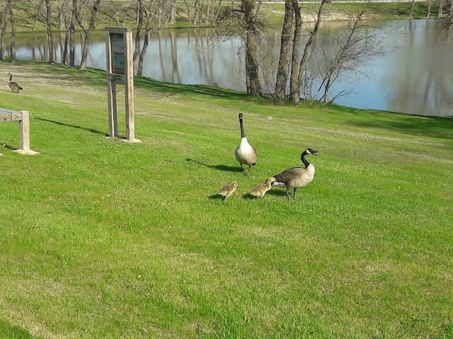 Hidden Lake Park - Image 2