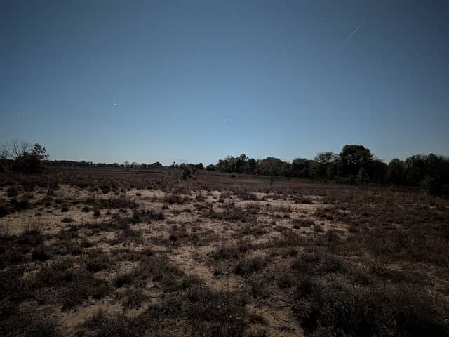 Sand Prairie Conservation Area - Image 2