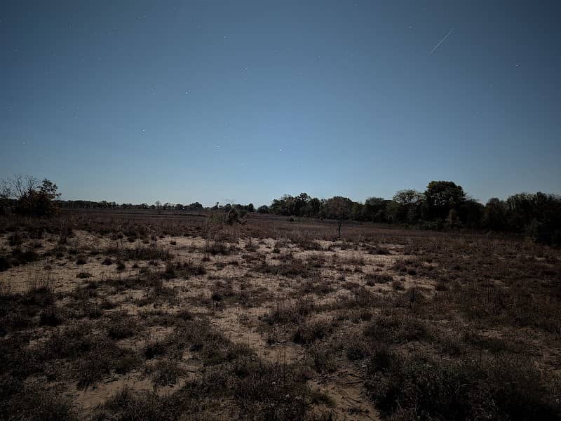 Sand Prairie Conservation Area - Image 2
