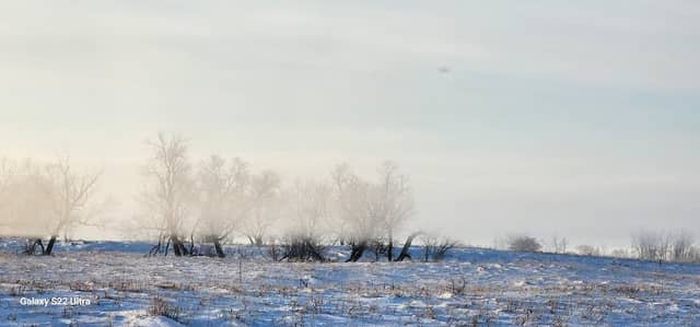 Scofield Waterfowl Production Area - Image 1