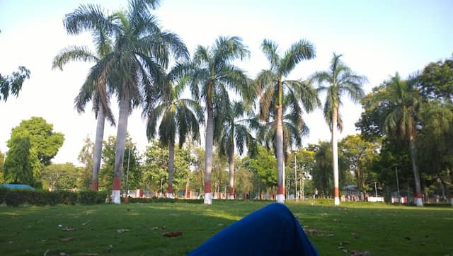 Children Park - Image 1