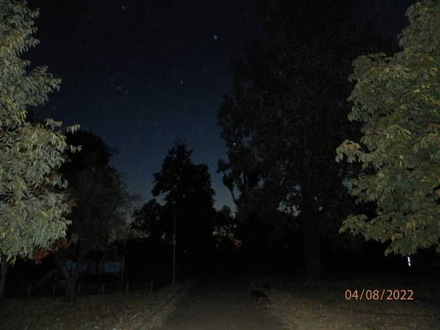 Железнички парк - Image 1