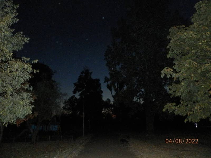 Железнички парк - Image 1