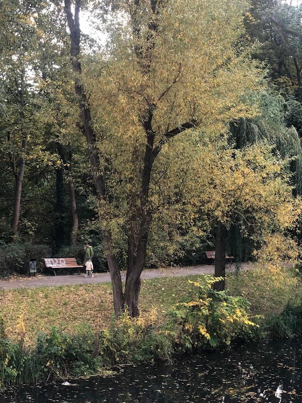 Schloss Park - Image 2