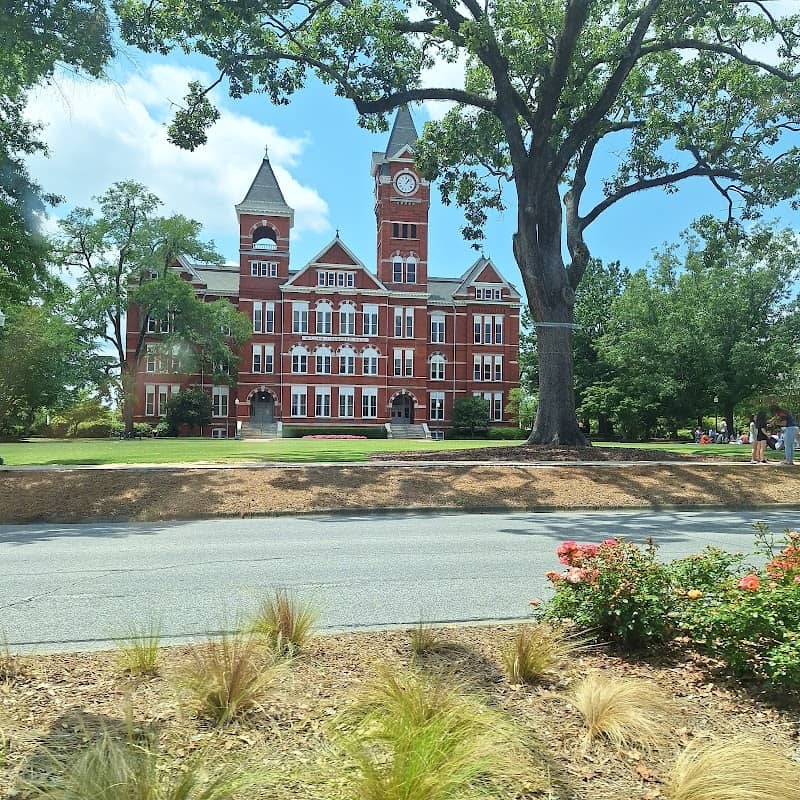 University Chapel - Image 1