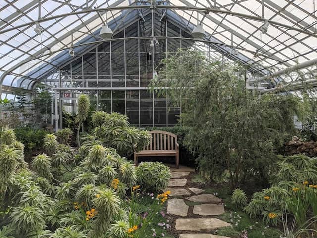 Oak Park Conservatory - Image 1