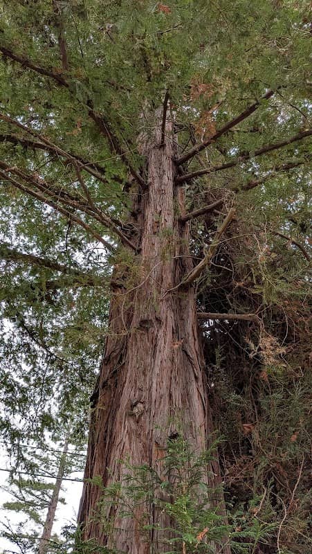 Doc Edgar Park - Image 1