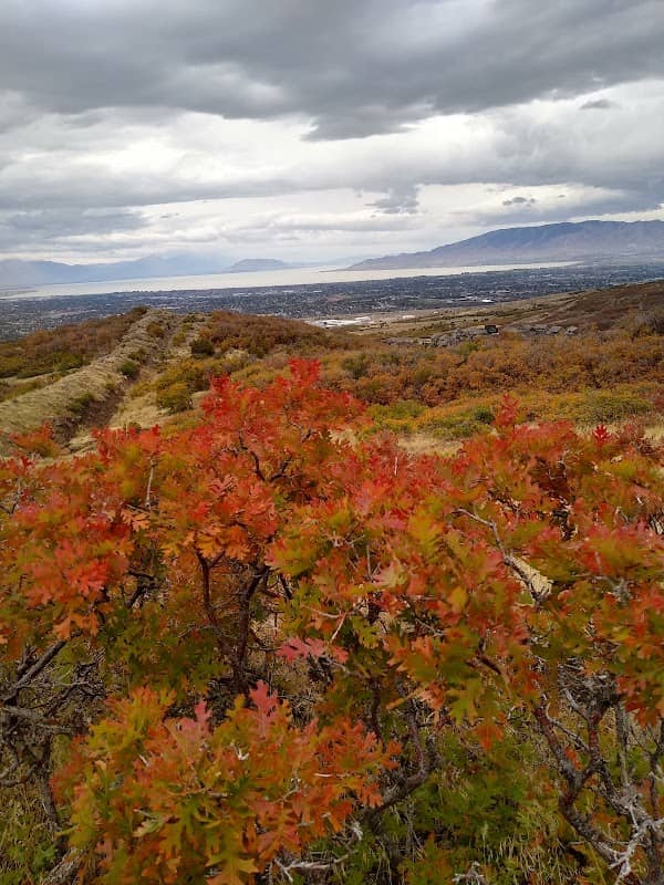 Autumn Fields Park - Image 2