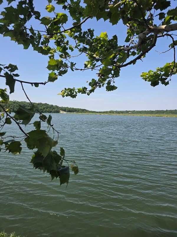 Lake Viewpoint - Image 2