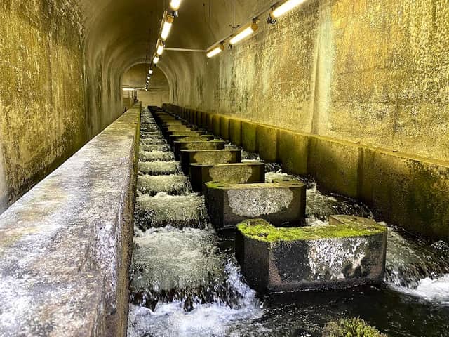 Shiromaru Dam Fish way - Image 2
