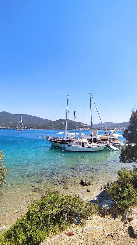 Torba Marina - Image 1