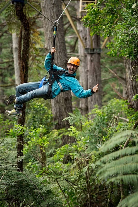 Coromandel Zipline Tours - Image 3