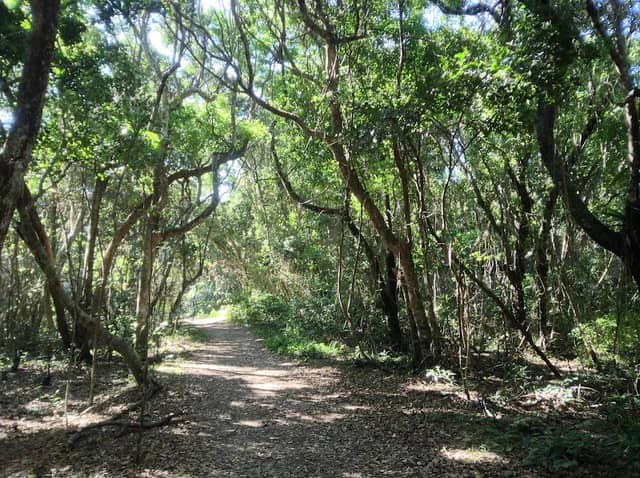 Brunswick Heads Nature Reserve - Image 1