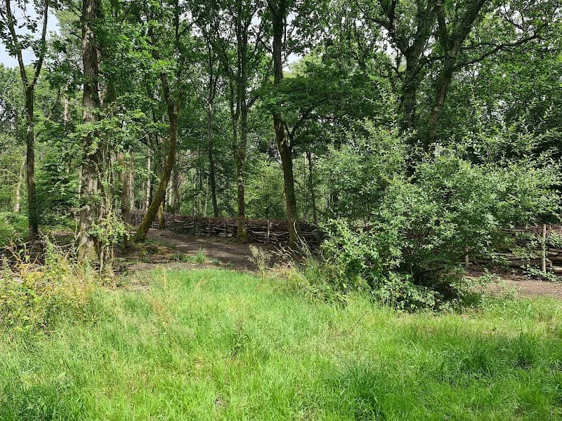 Havant Thicket - Image 1