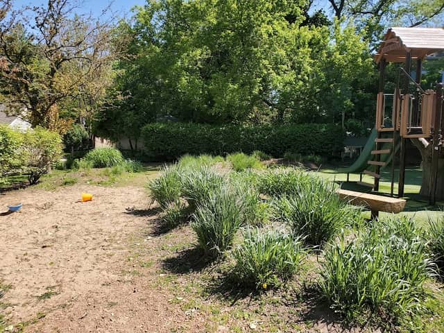 Wheeler Park - Image 2