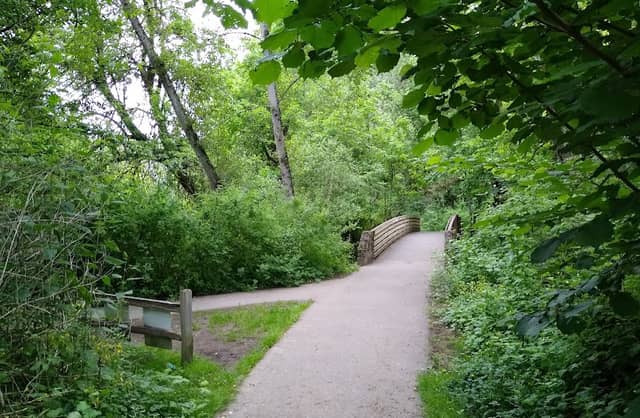 Fanno Creek Bridge - Image 2