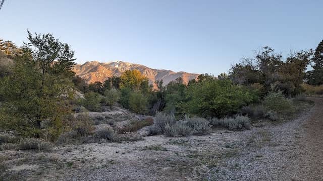 Dimple Dell Regional Park - Image 2