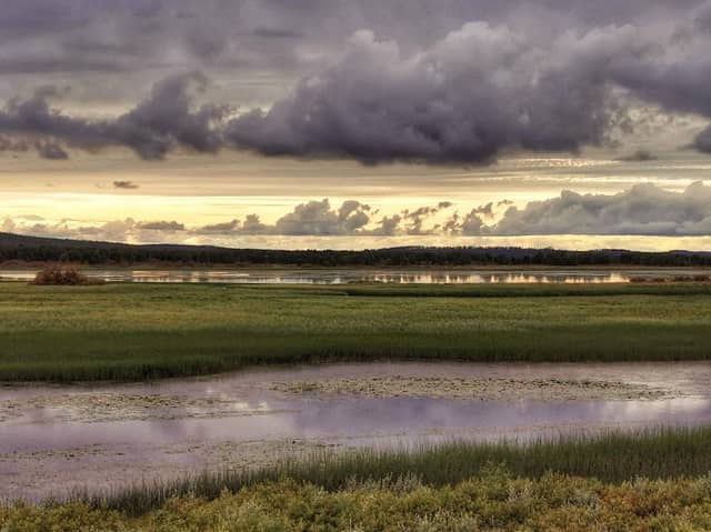 Puthaanhaara Bird Watching Tower - Image 1