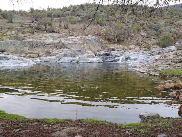 Poza Verde - Image 3