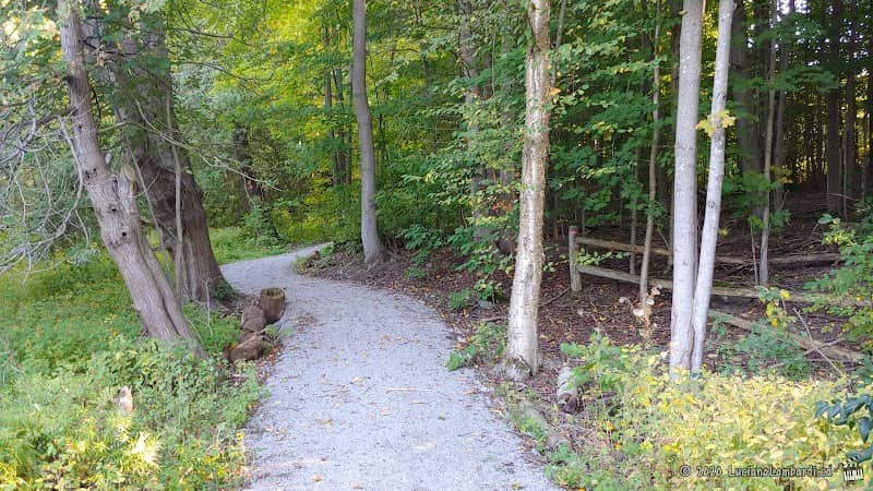 Davis Park - Image 2