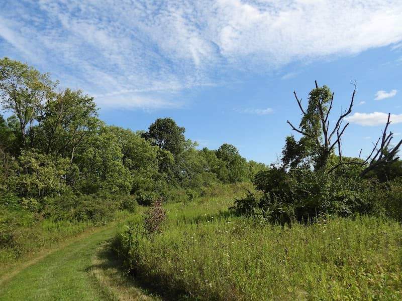 WHITETAIL TRAIL - Image 1