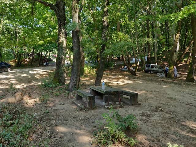 çaylak şelalesi - Image 2