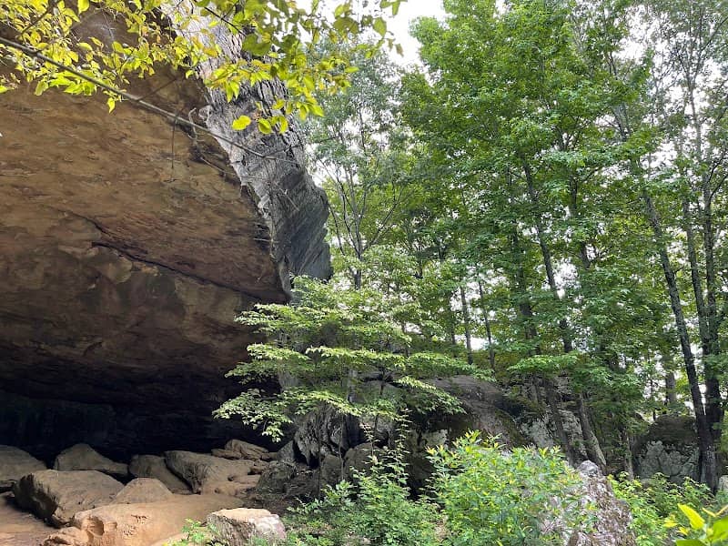 Rock House Cave - Image 2