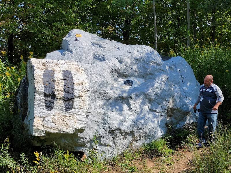 Pig Rock - Image 1