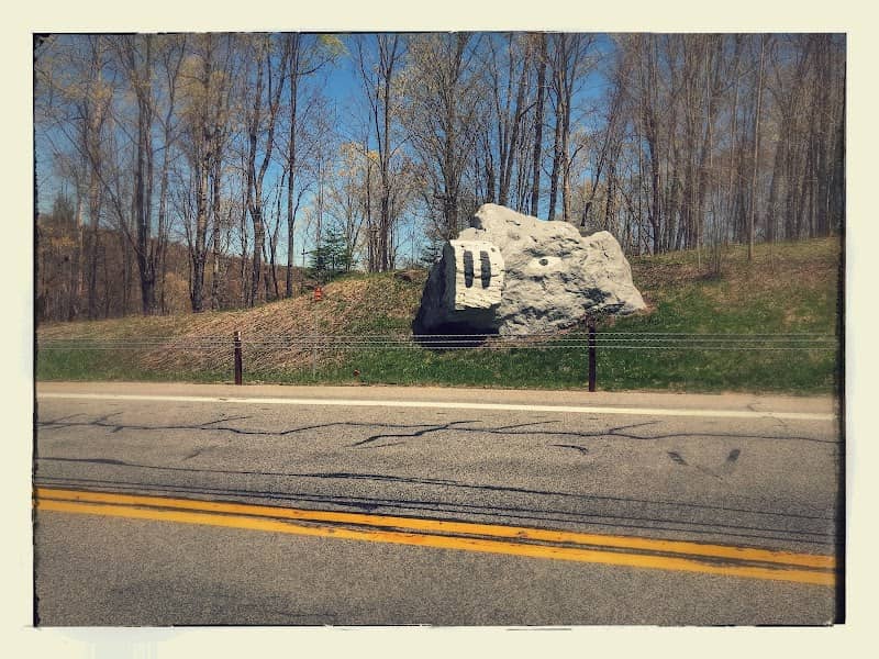 Pig Rock - Image 2
